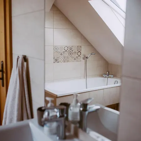 - Alexander 빌라 *