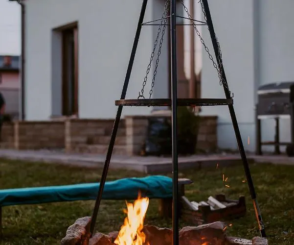 - Alexander * Cisiec