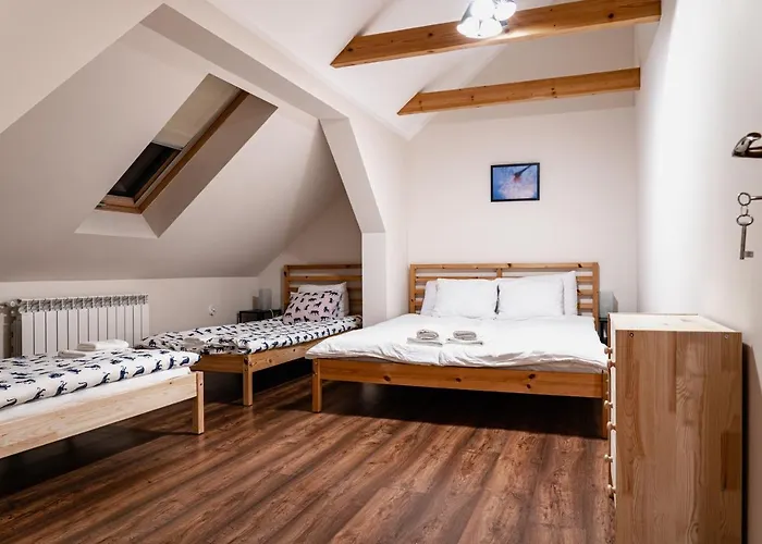 - Alexander Willa Cisiec